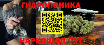 СК Канаш