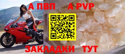 хмурый Кингисепп