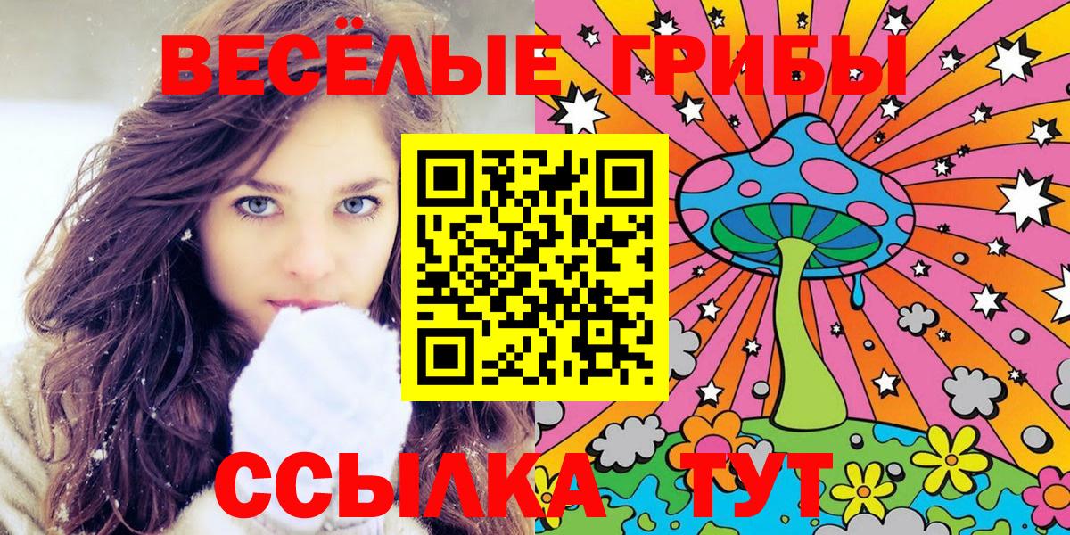 Псилоцибиновые грибы Psilocybe  Вход с VPN  Валуйки  Галлюциногенные грибы MAGIC MUSHROOMS 